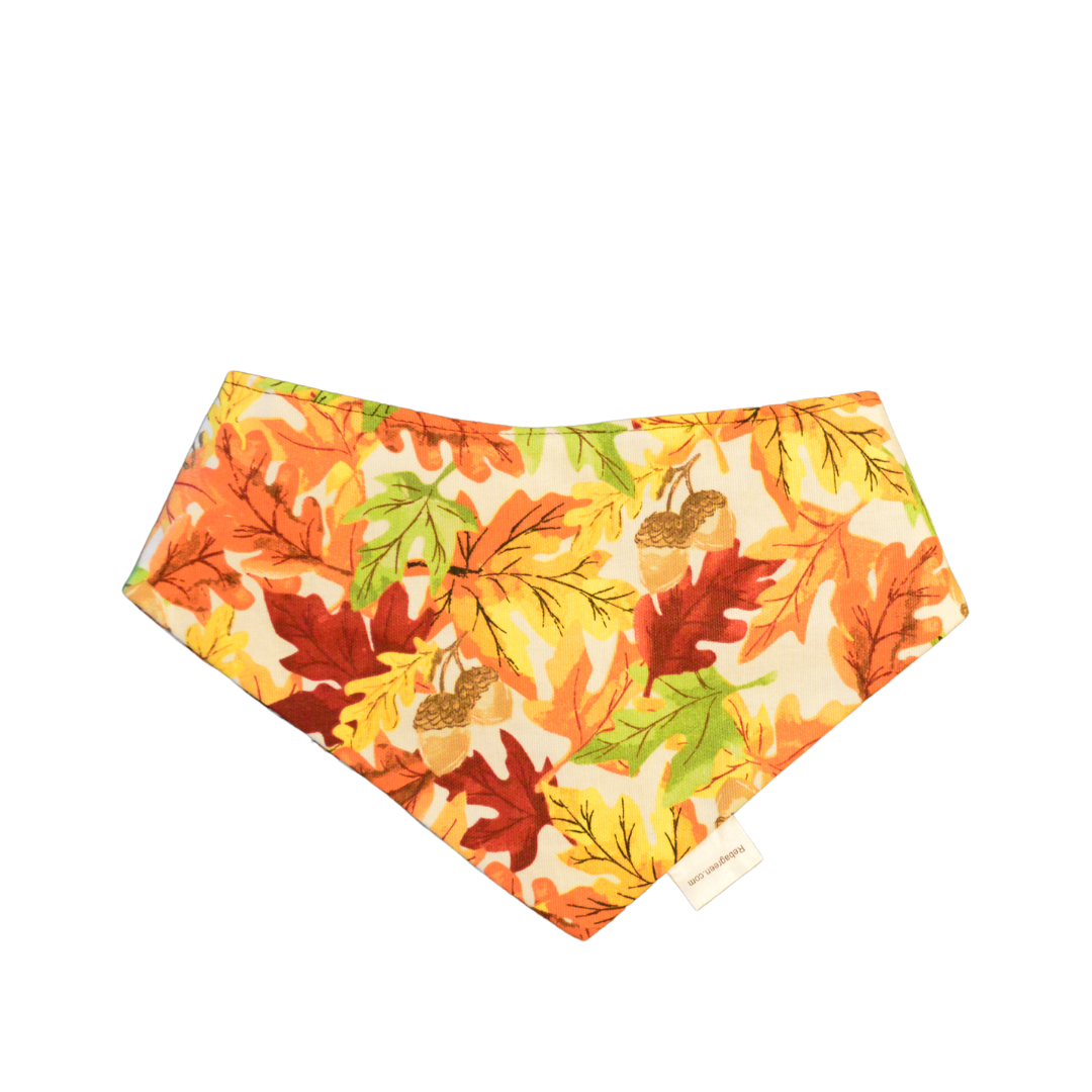 Leaves and Plaid Paw Bandanna