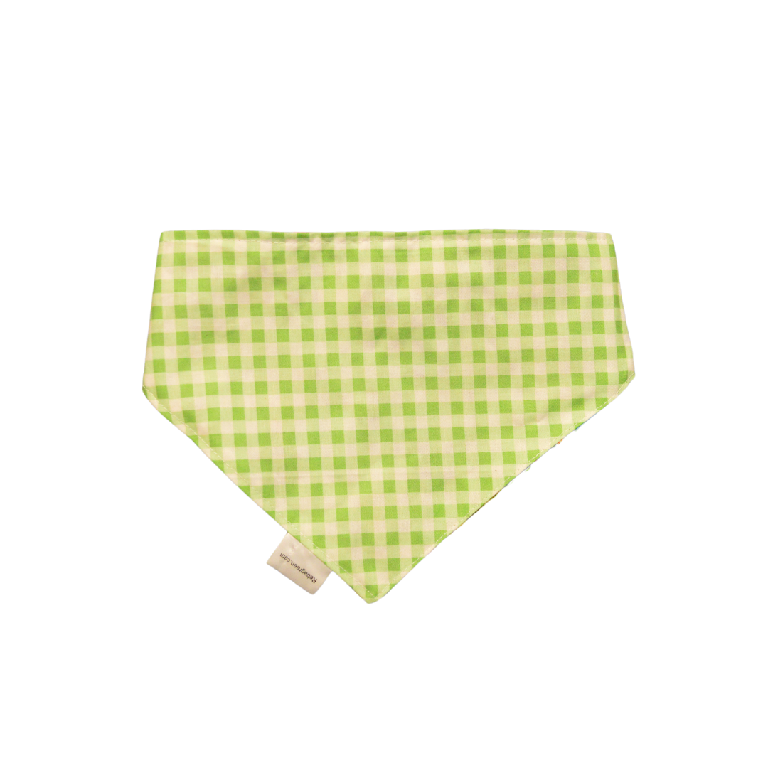 Birthday and Green Plaid Bandanna