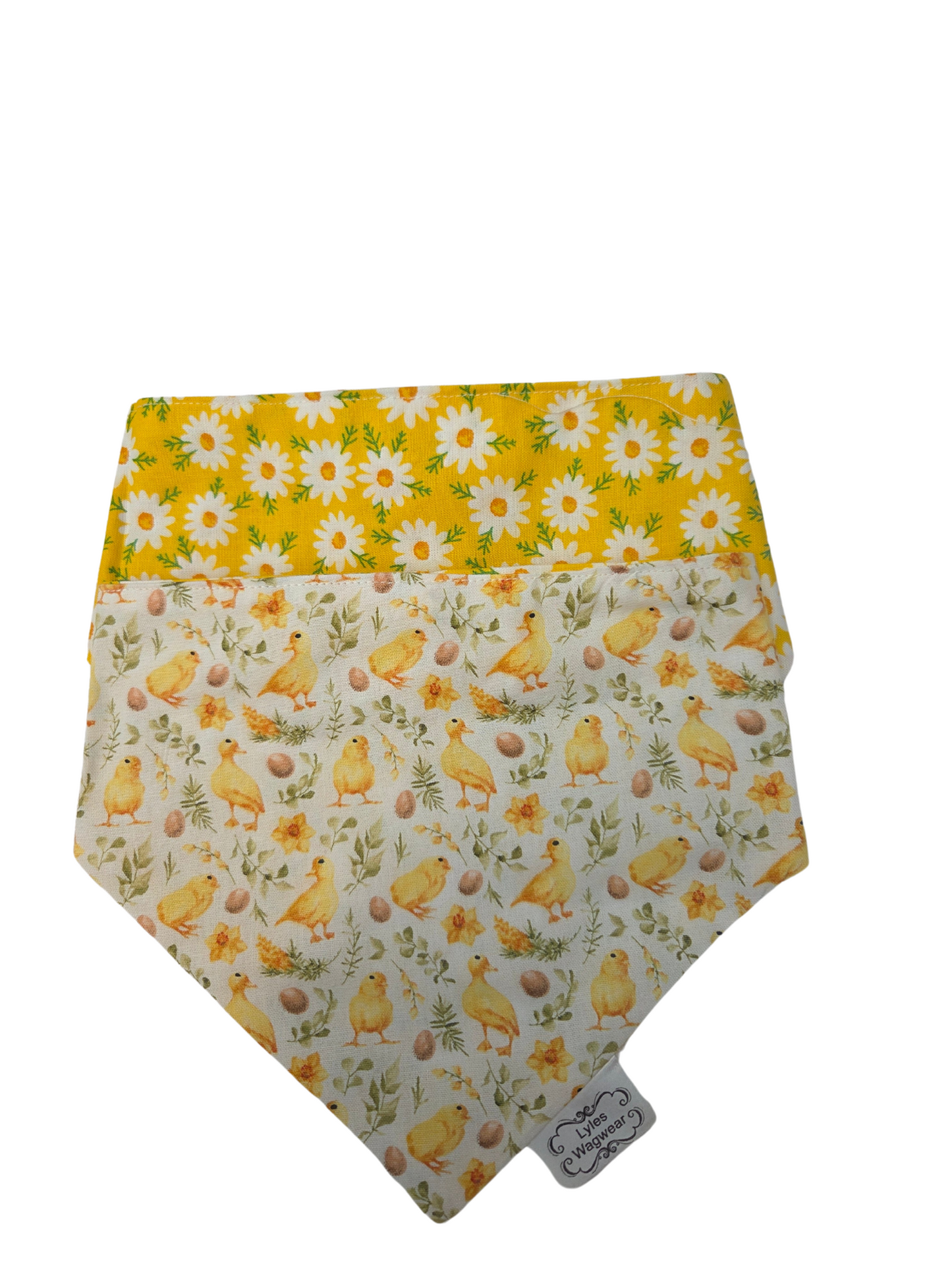 Baby Chicks with Daisy Backing